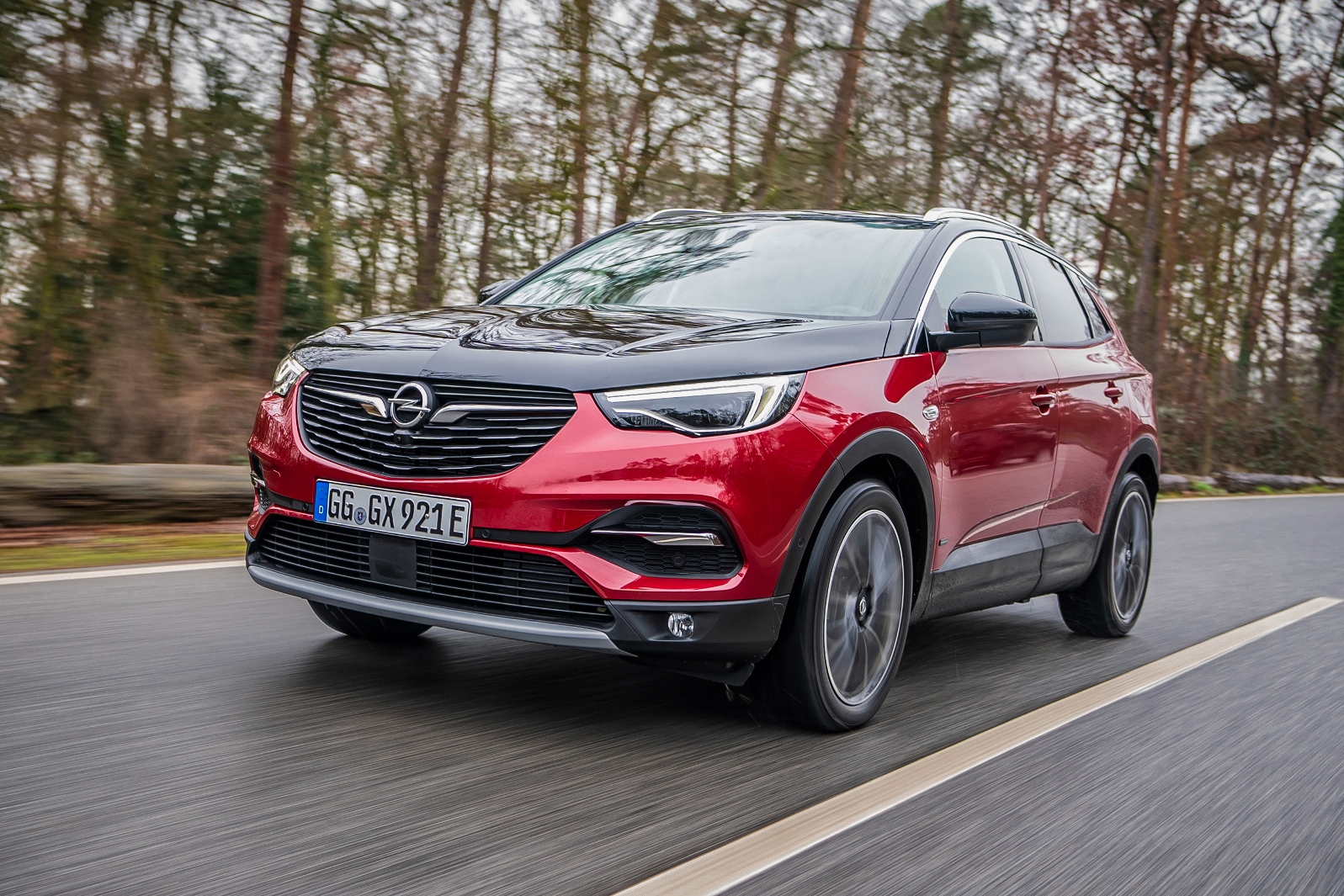 Opel Grandland X Hybrid4 (18)